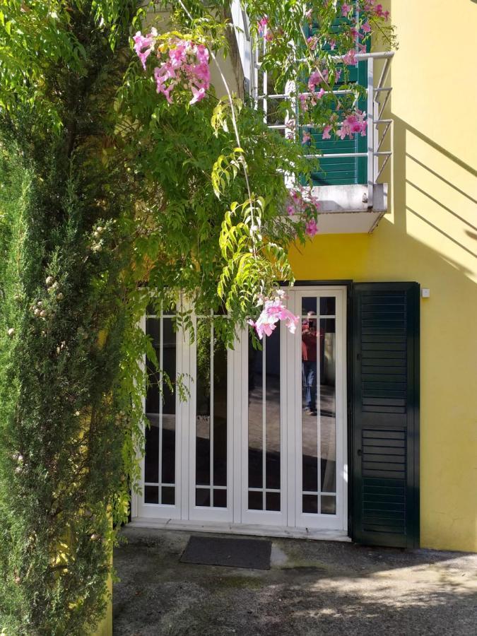 Villa Casa Amarante Porto Exterior foto